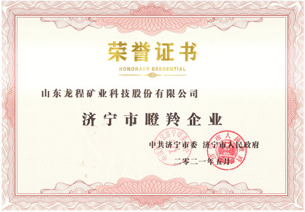 2021濟寧市瞪羚企業